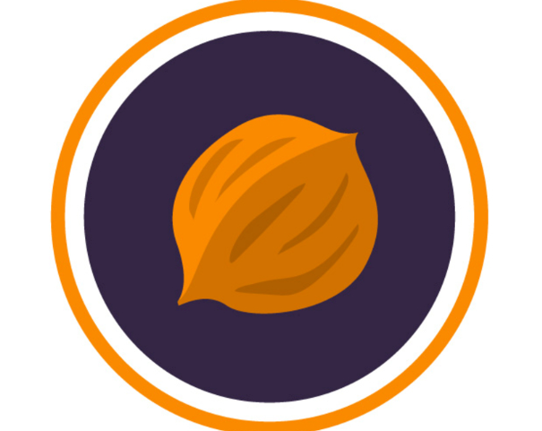 坚果加速器 Logo